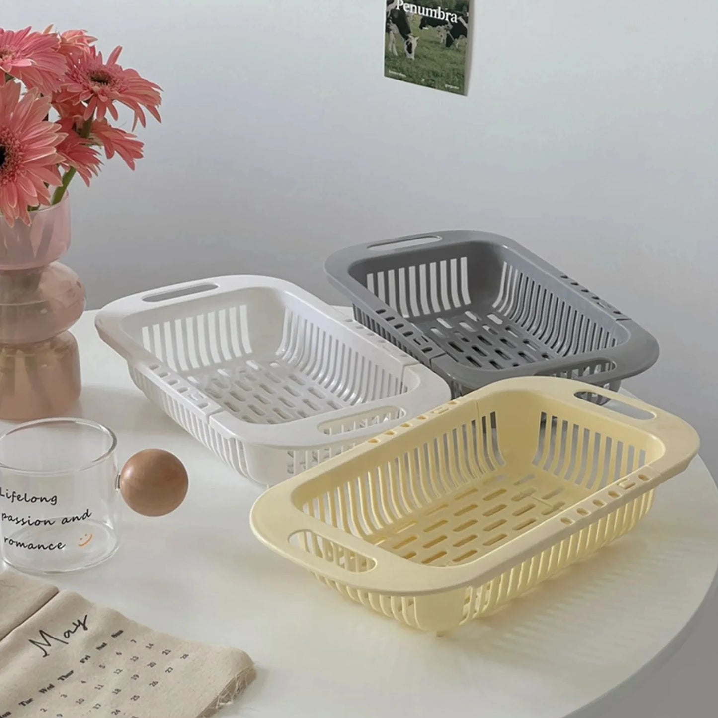 Drain Basket Bowl Rack